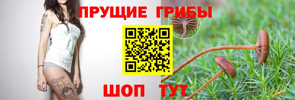 Псилоцибиновые грибы Psilocybine cubensis  Вход с VPN  Алексин 
